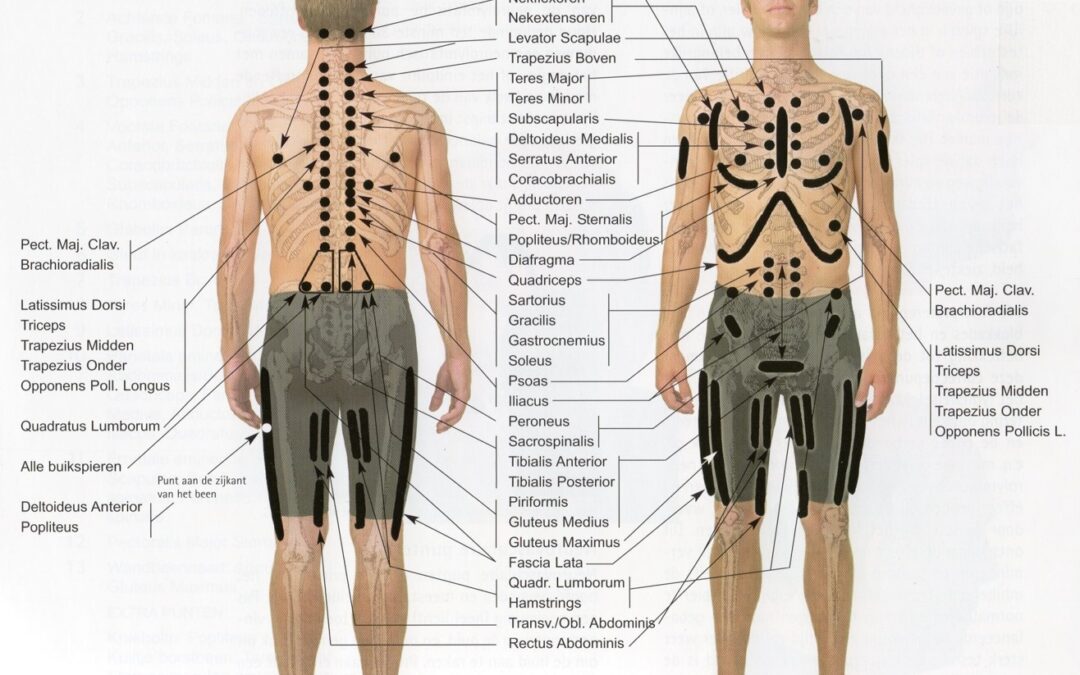 Neurolymfatische reflexpunten: doping voor sporters ?